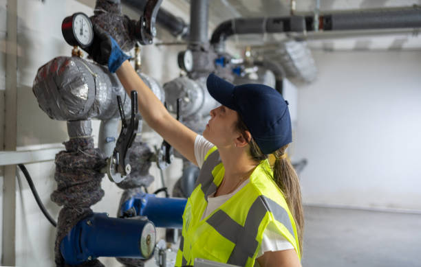 Best Affordable Plumbing Services  in Stanley, WI
